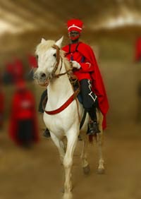 Honorable gardien du temple sénégalais